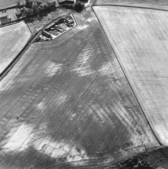 Pusk Wood, oblique aerial view, taken from the NE, centred on cropmarks of cultivation remains,  with a possible souterrain and possible sunken floored house to the bottom of the photograph.