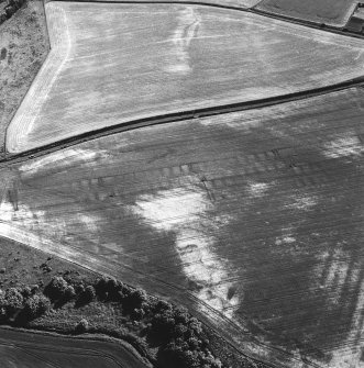 Pusk Wood, oblique aerial view, taken from the NNE, centred on cropmarks of cultivation remains,  with a possible souterrain and possible sunken floored house to the bottom of the photograph.