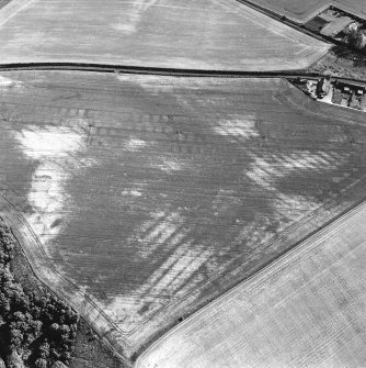 Pusk Wood, oblique aerial view, taken from the N, centred on cropmarks of cultivation remains,  with a possible souterrain to the right of the photograph and a possible sunken floored house to the bottom of the photograph.