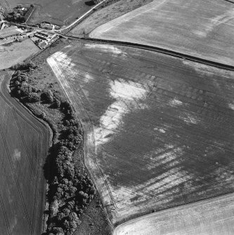 Pusk Wood, oblique aerial view, taken from the N, centred on cropmarks of cultivation remains,  with a possible souterrain and a possible sunken floored house to the bottom of the photograph.