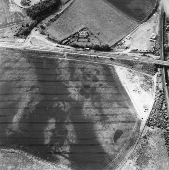 Hawkhill, oblique aerial view, taken from the SE, centred on the cropmarks of an unenclosed settlement.