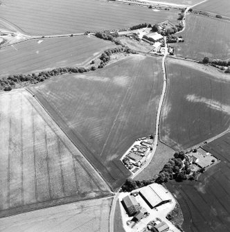 Oblique aerial view of cropmarks of rig, taken from the W.