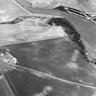 Oblique aerial view of cropmarks of rig, taken from the S.