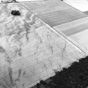 Oblique aerial view centred on the cropmarks of the pit-alignment, with the tree covered cairn adjacent, taken from the ESE.