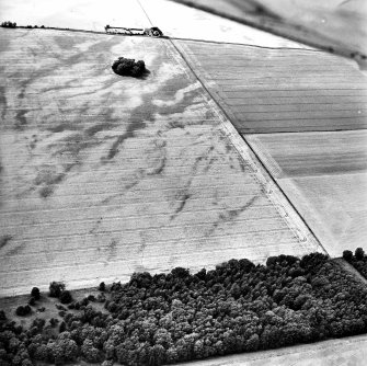 Oblique aerial view centred on the cropmarks of the pit-alignment, with the tree covered cairn adjacent, taken from the ENE.