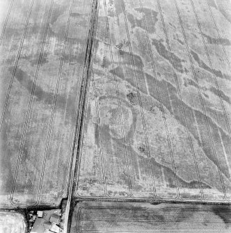 Battledykes, oblique aerial view, taken from the SSE, centred on the cropmarks of an enclosure.