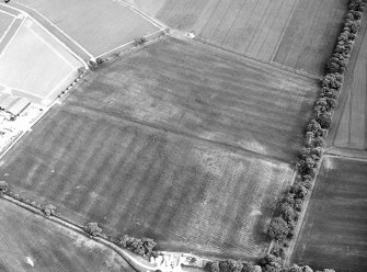 Oblique aerial view centred on the cropmarks of pits, a roundhouse, possible enclosure and rig, taken from the NNW.