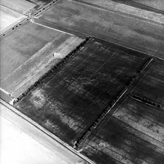 Craigmill, oblique aerial view, taken from the WNW, centred on the cropmarks of possible pit-circles, linear cropmarks and rig. Enclosures, an unenclosed settlement and rig are visible in the bottom right-hand corner of the photograph.