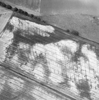 Craigmill, oblique aerial view, taken from the SSW, centred on the cropmarks of a barrow cemetery, ring-ditches and rig. The cropmark of an enclosure is visible in the bottom left-hand corner of the photograph.