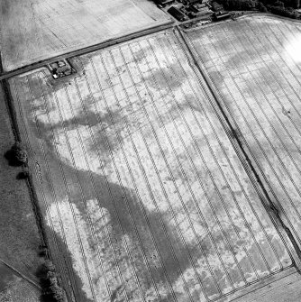 Craigmill, oblique aerial view, taken from the NNW, centred on the cropmarks of a barrow cemetery, ring-ditches and rig. The cropmark of an enclosure is visible in the top right-hand corner of the photograph.