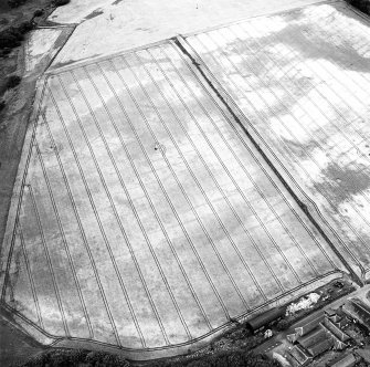 Craigmill, oblique aerial view, taken from the S, centred on the cropmarks of an enclosure and rig.  Further cropmarks are visible in the right half of the photograph.