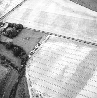 Craigmill, oblique aerial view, taken from the S, centred on cropmarks of an enclosure, barrows and rig.  A second enclosure is visible to the top right of the photograph.