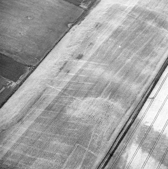 Craigmill, oblique aerial view taken from the W, centred on the cropmarks of a possible enclosure.  A second enclosure and rig are visible in the bottom centre of the photograph.