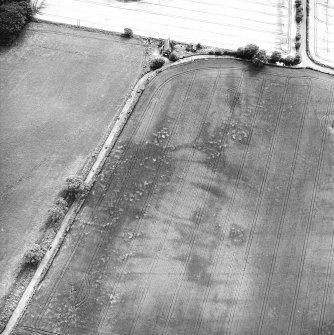 Pitskelly, oblique aerial view, taken from the N, centered on a cropmark complex.