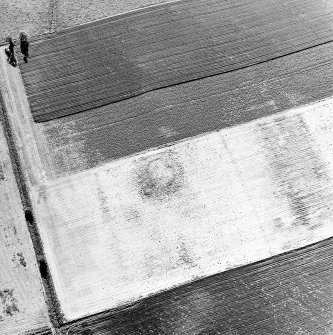 Oblique aerial view centred on the cropmarks of the barrow, taken from the E.