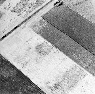 Oblique aerial view centred on the cropmarks of the barrow, taken from the NE.
