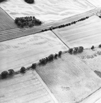 Oblique aerial view centred on the cropmarks of the Roman temporary camp and the rig, taken from the NNE.