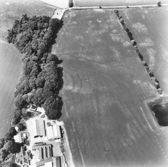 Oblique aerial view.