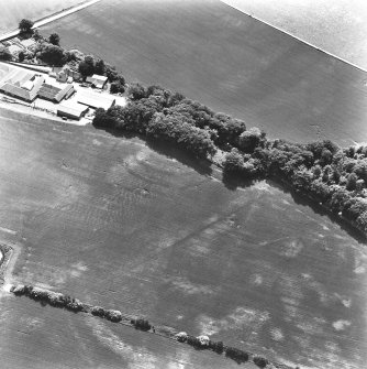 Oblique aerial view.