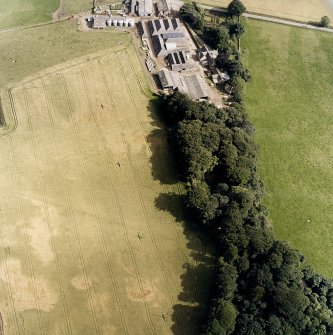 Oblique aerial view centred on the cropmarks of the fort and rig, with the farmsteading and dovecot adjacent, taken from the NW.