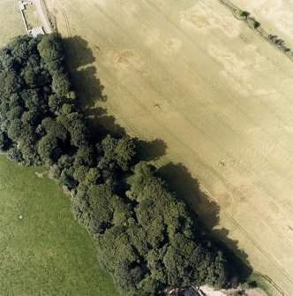 Oblique aerial view centred on the cropmarks of the fort and rig, taken from the SSE.