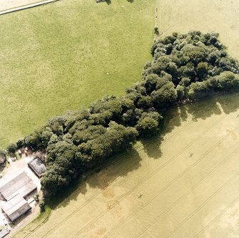 Oblique aerial view centred on the cropmarks of the fort and rig, taken from the ENE.