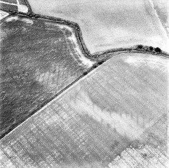 Dowrie Burn, oblique aerial view, taken from the SSE, centred on the cropmarks of a possible enclosure and rig and furrow cultivation.