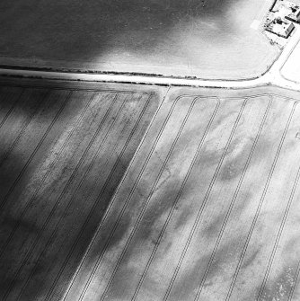 Balneaves Cottages, oblique aerial view, taken from the NE, centred on the cropmarks of a pit-defined cursus and ring-ditches.
