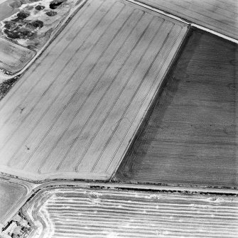 Oblique aerial view centred on the cropmarks of the NE terminal of a pit-defined cursus with ring-ditches, pits and cropmarks adjacent, taken from the SW.