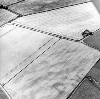Oblique aerial view centred on the cropmarks of the pit-defined cursus, taken from the NE.