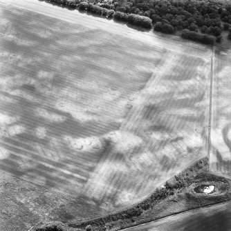 Oblique aerial view.