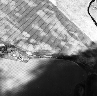 Boysack, oblique aerial view, taken from the SE, centred on the cropmarks of a possible round house, a pit-alignment, pits and a ring-ditch.