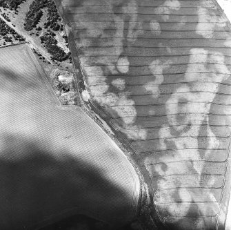 Boysack, oblique aerial view, taken from the ESE, centred on the cropmarks of a possible round house, a pit-alignment, pits and a ring-ditch.