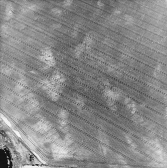 Boysack, oblique aerial view, taken from the NW, centred on the cropmarks of an unenclosed settlement, a pit-defined enclosure and souterrains. The cropmarks of a pit-enclosure are visible in the bottom left-hand corner of the photograph.