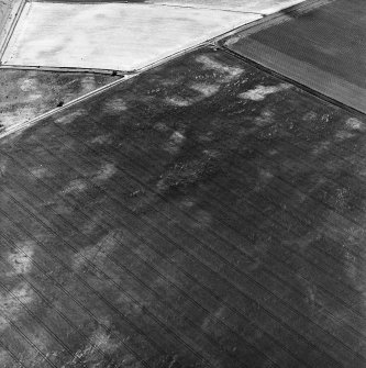 Boysack, oblique aerial view, taken from the NW, centred on the cropmarks of an unenclosed settlement, a pit-defined enclosure and souterrains. The cropmarks of an enclosure and timber hall are visible in the top centre half of the photograph.