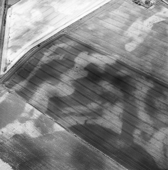 Westfield, oblique aerial view, taken from the NNE, centred on the cropmarks of rig, a souterrain, pits and a possible round house.
