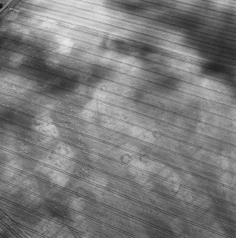 Boysack, oblique aerial view, taken from the NW, centred on the cropmarks of an unenclosed settlement, a pit-defined enclosure and souterrains.