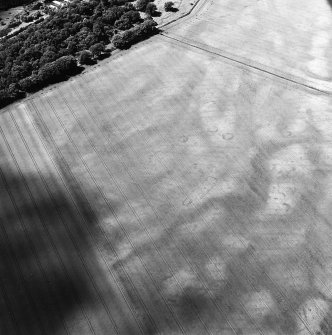 Boysack, oblique aerial view, taken from the E, centred on the cropmarks of an unenclosed settlement, a pit-defined enclosure and souterrains.