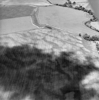 Oblique aerial view centred on the cropmarks of an unenclosed settlement, pit-defined enclosure and souterrains with enclosure and timber hall adjacent, taken from the SSE.