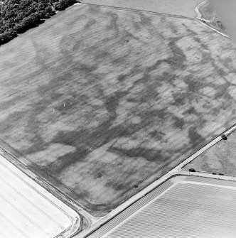 Oblique aerial view centred on the cropmarks of a pit-defined enclosure with unenclosed settlement and souterrains adjacent, taken from the ESE.