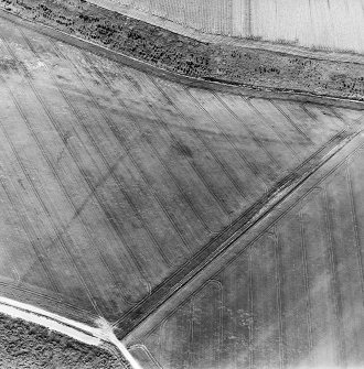 Oblique aerial view centred on possible field boundaries, taken from the NNE.