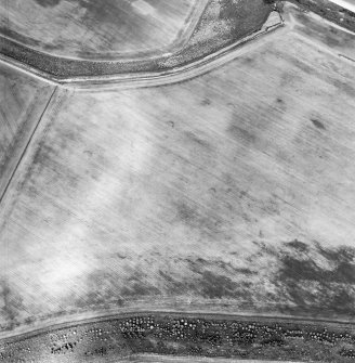 Oblique aerial view centred on the cropmarks of the unenclosed settlement, enclosures, possible souterrains, linear cropmarks and possible field boundaries, taken from the SW.