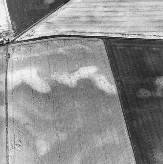 Westfield, oblique aerial view, taken from the NNW, centred on the cropmarks of a possible round house and a souterrain.