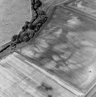 Kirkton Mill, oblique aerial view, taken from the SW, centred on the cropmarks of enclosures and ring-ditches.