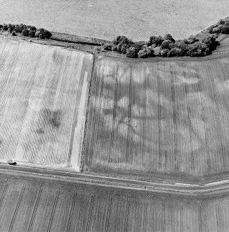 Kirkton Mill, oblique aerial view, taken from the SE, centred on the cropmarks of enclosures and ring-ditches.