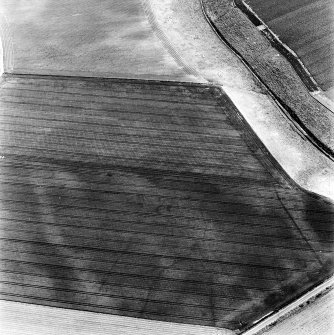 Newbarns, oblique aerial view, taken from the NW, centred on the cropmarks of an unenclosed settlement and linear cropmarks.