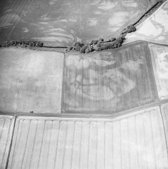 Kirkton Mill, oblique aerial view, taken from the SE, centred on the cropmarks of at least three ring-ditches.