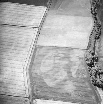 Kirkton Mill, oblique aerial view, taken from the NE, centred on the cropmarks of at least three ring-ditches.