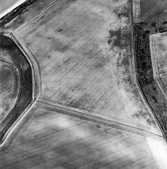 Oblique aerial view centred on the cropmarks of the unenclosed settlements, linear cropmarks, souterrains, possible field boundaries and field system, taken from the NW.