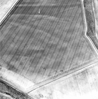 Oblique aerial view centred on the cropmarks of the unenclosed settlement, linear cropmarks and souterrains, taken from the S.